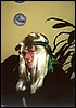 6 - Daffne.jpg