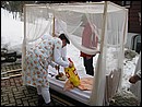 fosching2003_07.jpg