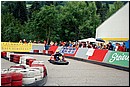 Steiracup_03.jpg