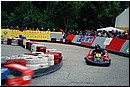 Steiracup_18.jpg